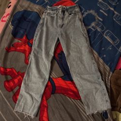 Hollister Vintage Straight Jeans