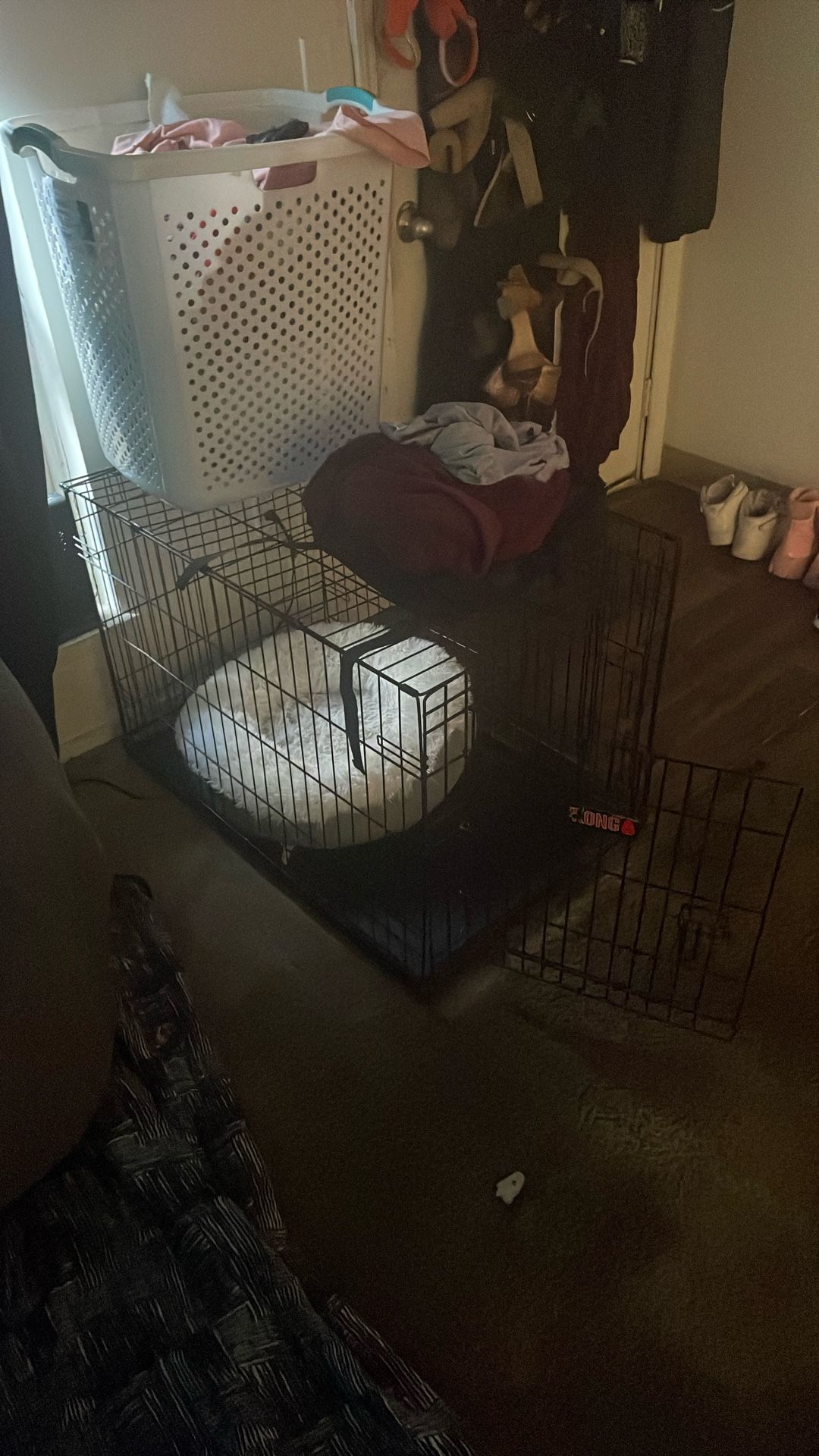 Kong Dog Kennel