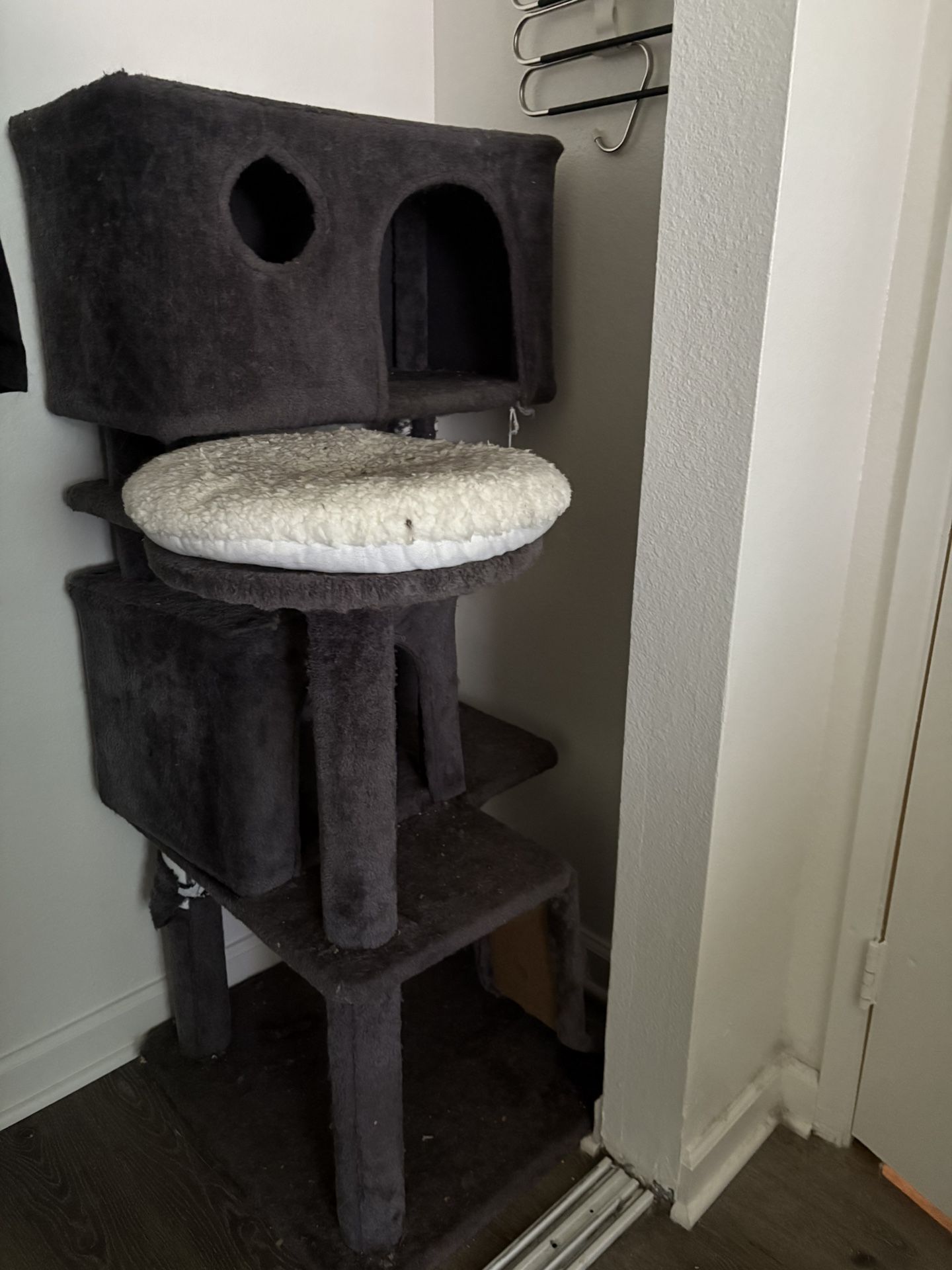 Large Cat Post