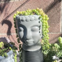 String Of Pearls In Buddha Head
