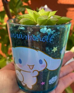 Cinnamaroll Succulent