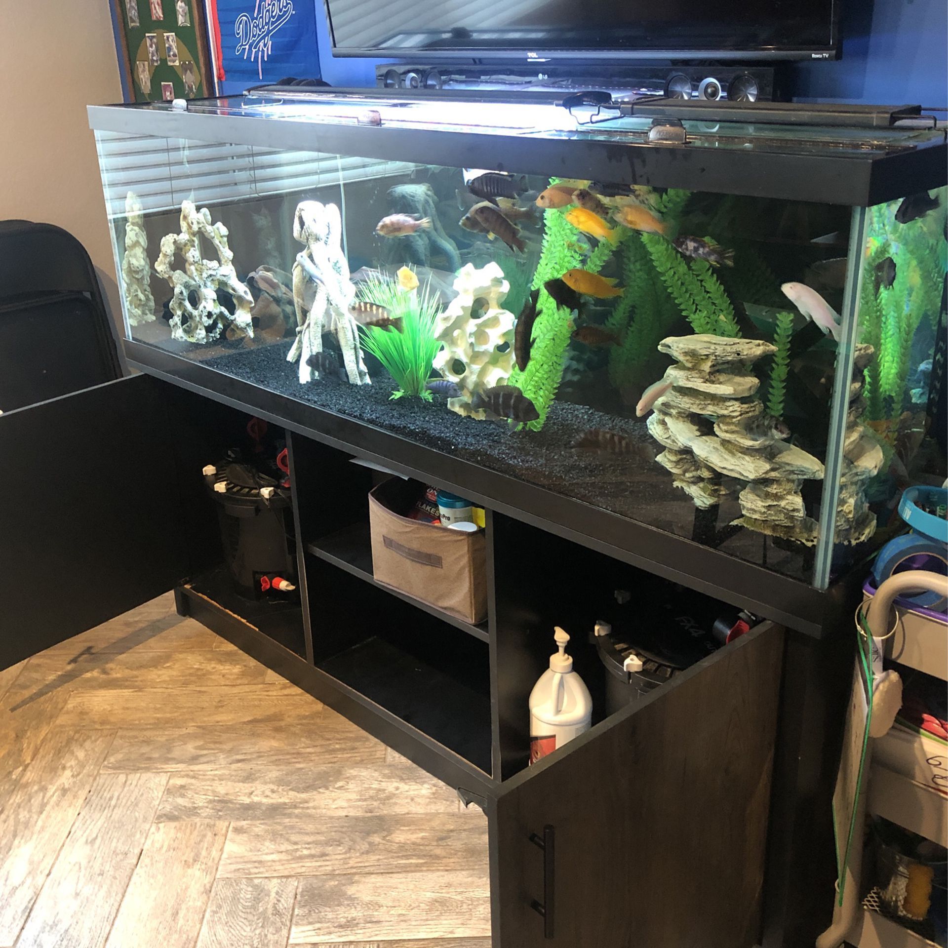 Complete 125 Gallon Aquarium for Sale in Lake Elsinore, CA OfferUp