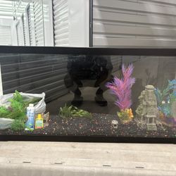 55 Gallon Fish Tank