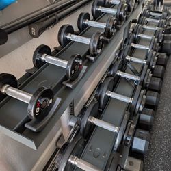 IGX  Pro Style  Dumbbells  w/  Life Fitness Rack. 5-50 Lbs.  READ BELOW. Dr0p0ff Avail. FIRM PRICE.