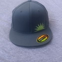 Green Flash Fitted Cap