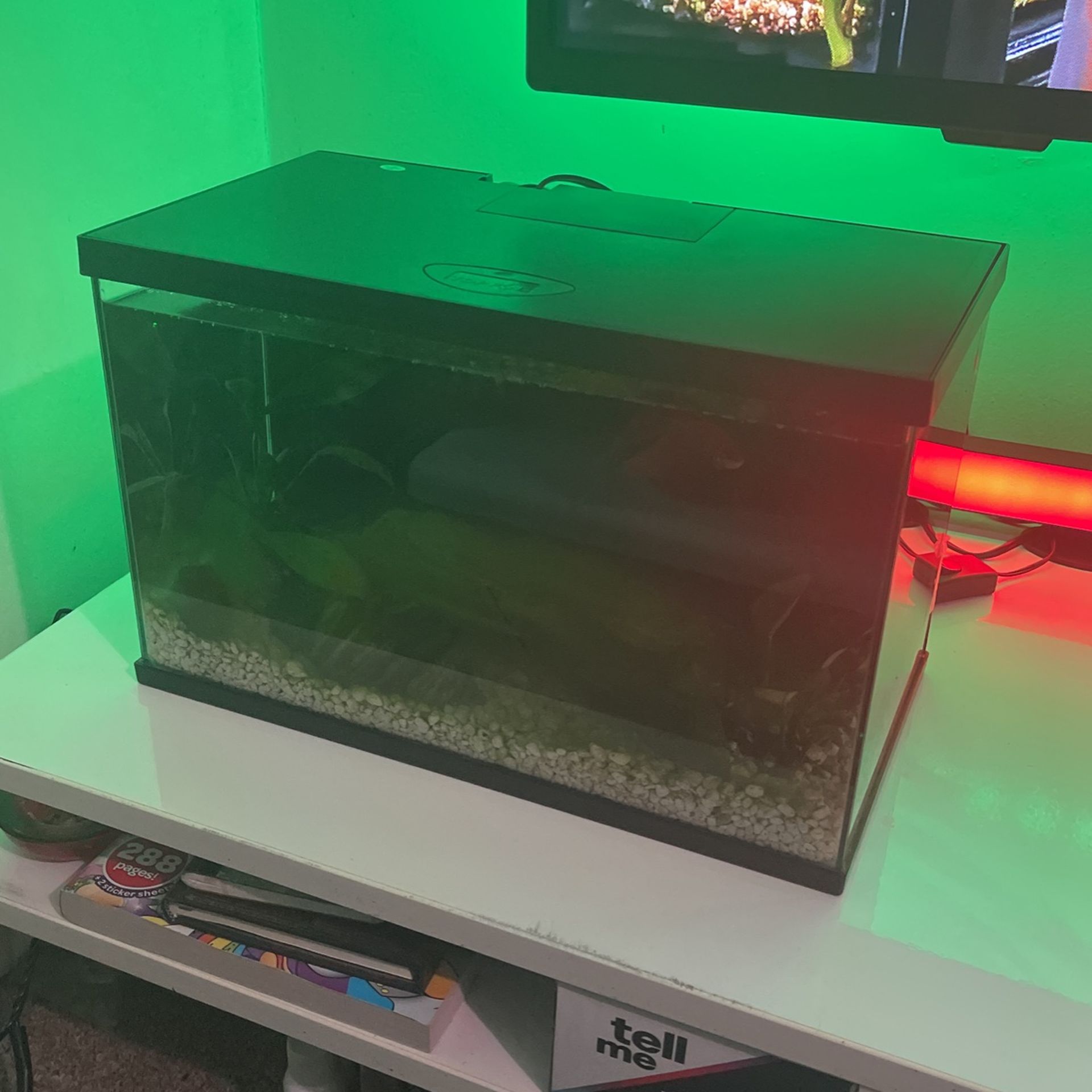 3gal Aquarium Kit with Rock Cave and 1 Filter Replacement 