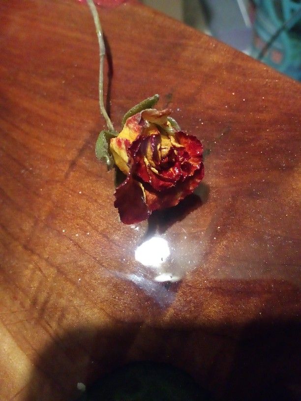 Real Dried Resined Roses Small