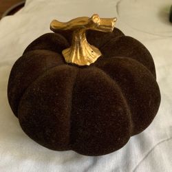 Dark Brown Flocked Pumpkin with Gold Stem