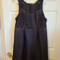 Black and Pink Maurices Skater Dress Womens 20