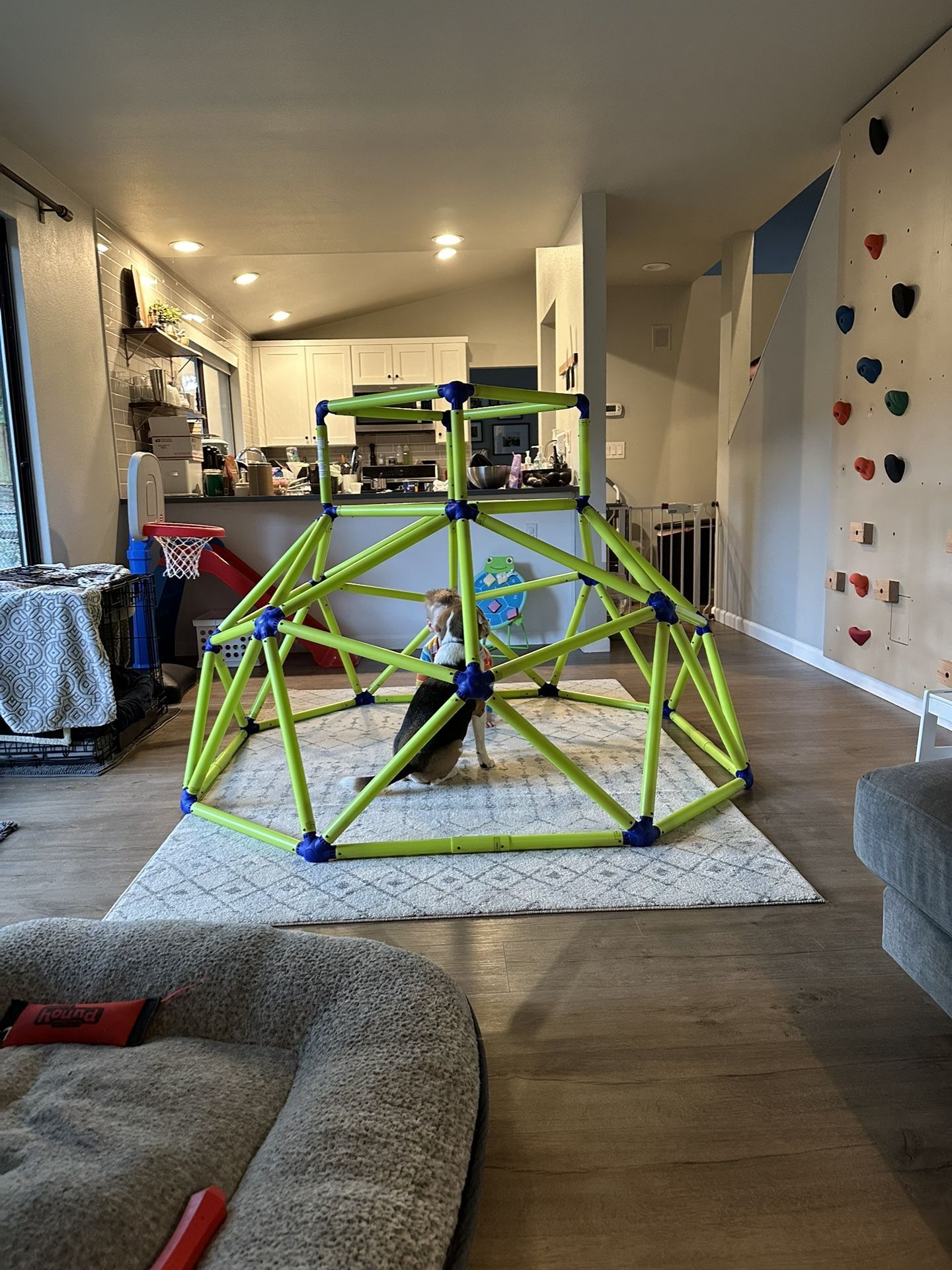Indoor/Outdoor Play Climbing Dome - NEW CONDITION
