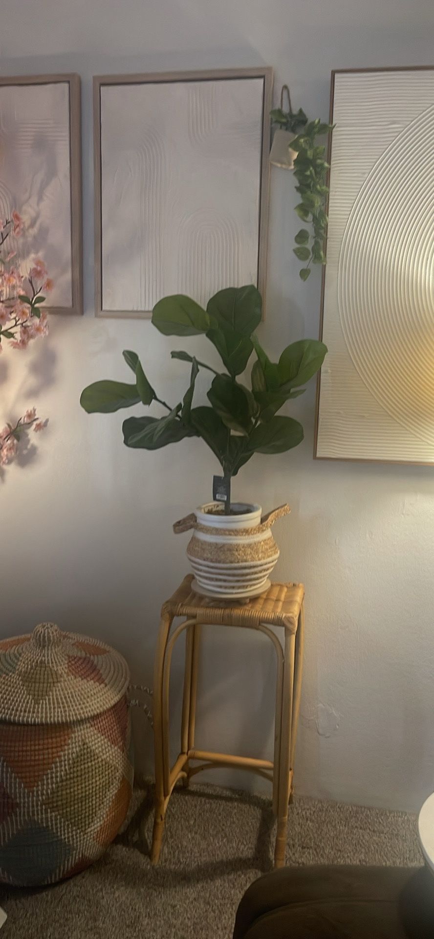 Faux Fiddle Plant With Rattan Plant Stand And Basket For The Plant