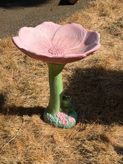 Bird Bath