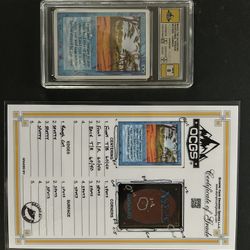 Graded Magic The Gathering Cards Lot