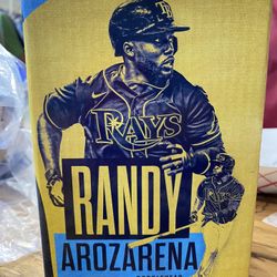 Randy Arozerena Bobblehead   New Brand New From 7/31