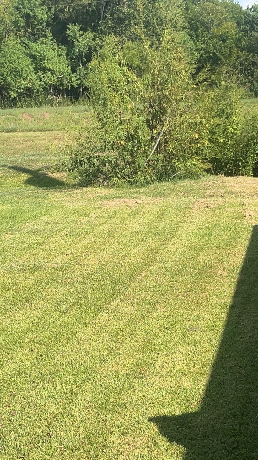 Lawn Services And More