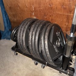 OLYMPIC WEIGHT  PLATES - CAP 