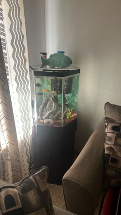 Fish Tank