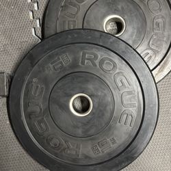 Rogue HG Bumper Plates - 10 kilo Pair