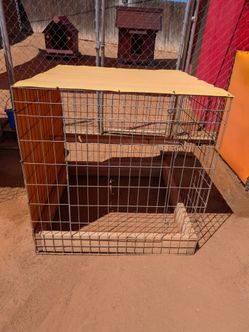 Rooster Cages