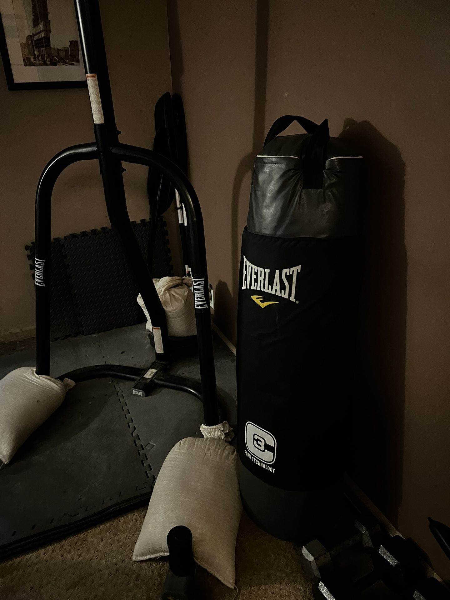 Everlast Punching Bag with Stand