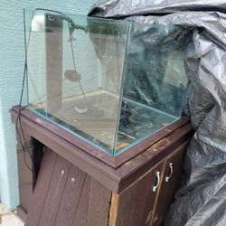 Tank With Stand (Will Accept Offers)