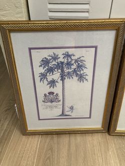 Framed Paintings 