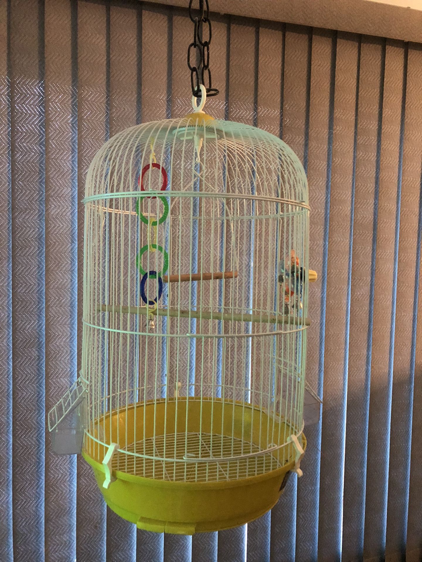 Bird Cage - For Smaller Birds