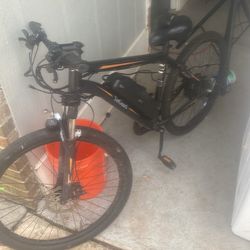 Electric Bike 