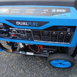 Dual Fuel Generator 13000w
