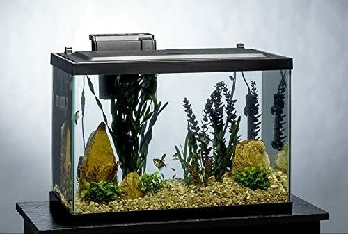 20 gallon aquarium full setup