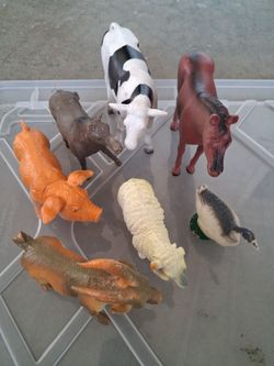 Farm animals