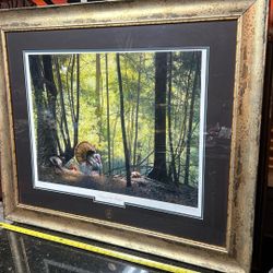 Wild turkey Federation print of the year