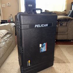 Pelican 1650 Utility Case