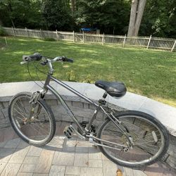 Raleigh Venture 5.0 Comfort Bike