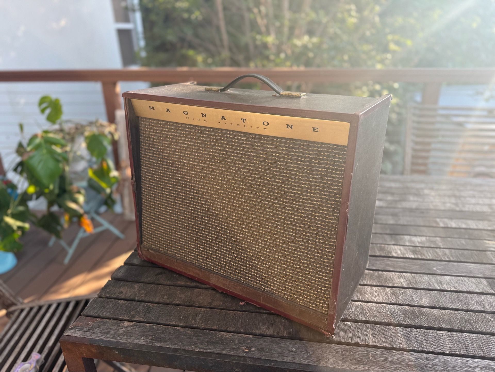 Magnatone 413 combo guitar amp 1960’s vintage