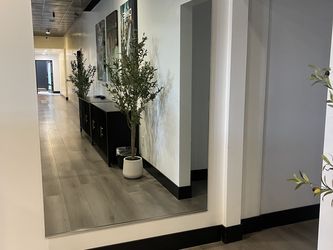 Quarter-Inch Thick Mirrors Engineered for Strength