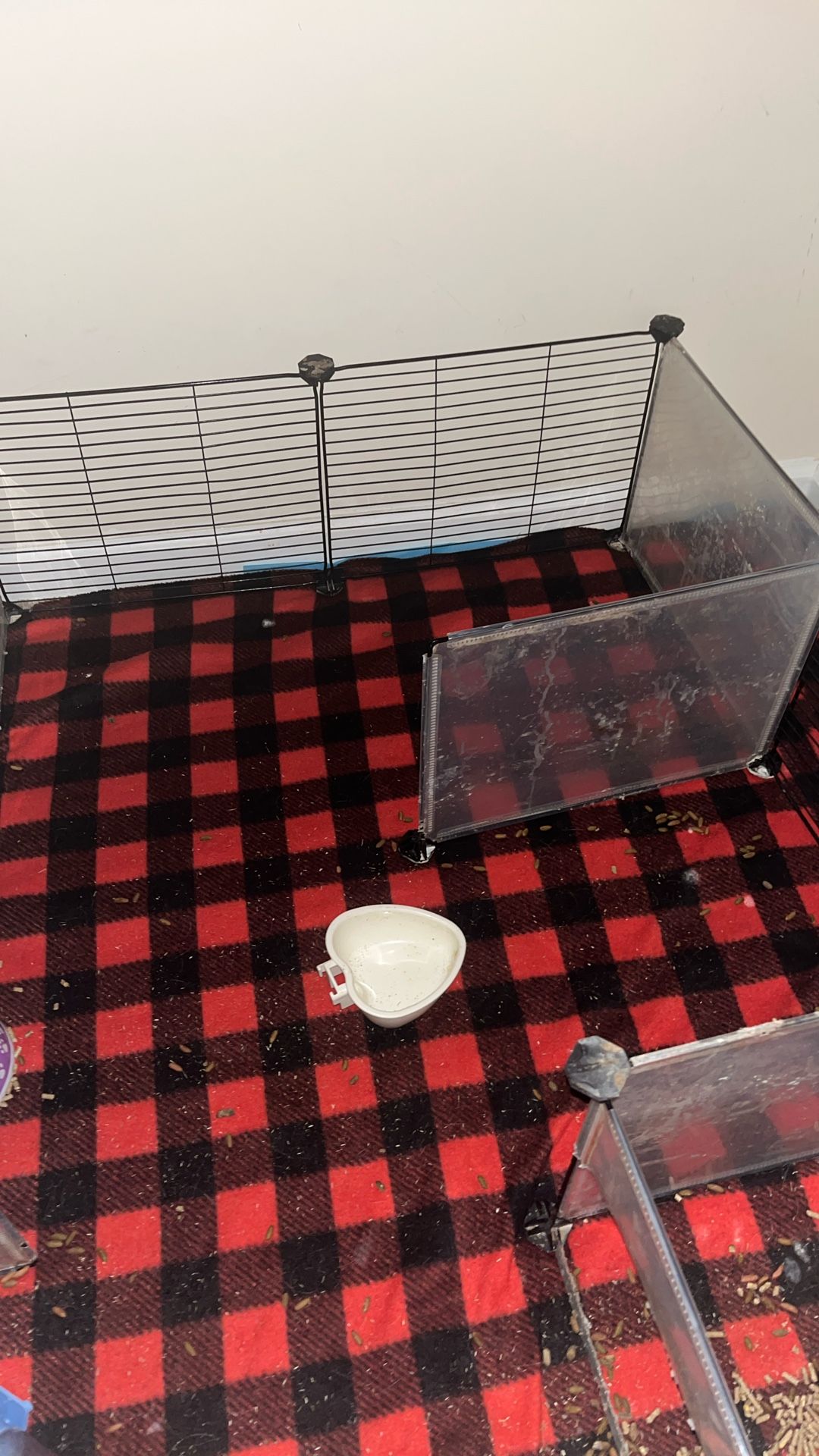 Guinea Pig Cage + Supplies, Lightly Used 