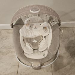 Baby Bouncer