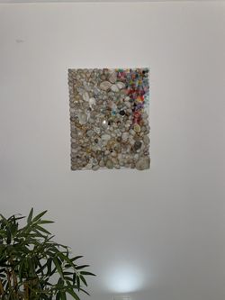 Wall Art- Handmade w/ Hand Picked Shells From Beach 