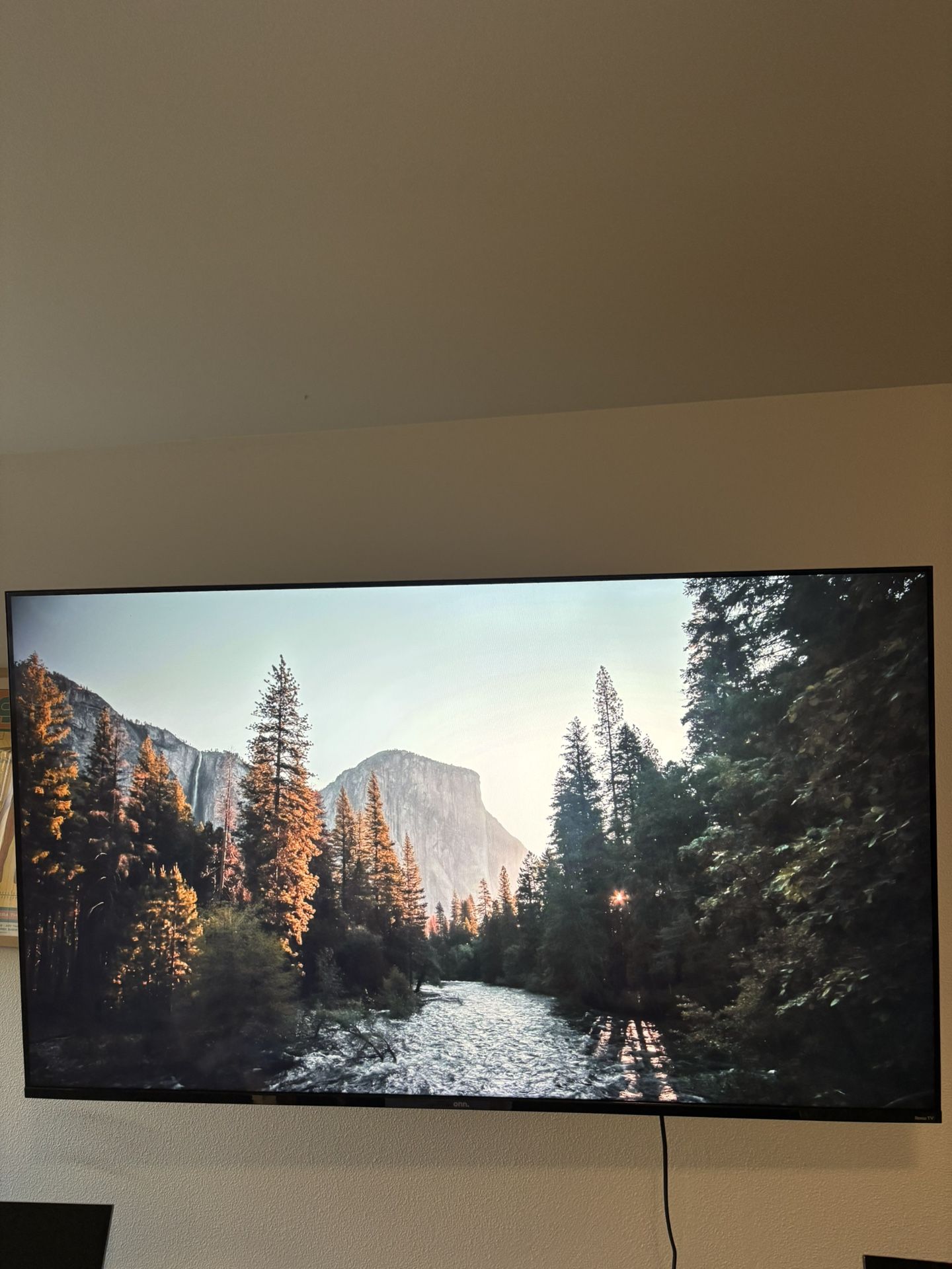 65 Inch Smart TV