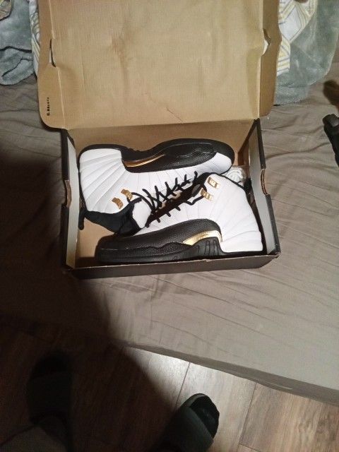 Jordan Retro 12