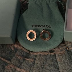 The Earrings 