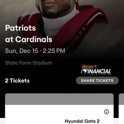 Patriots Vs Cardinals 