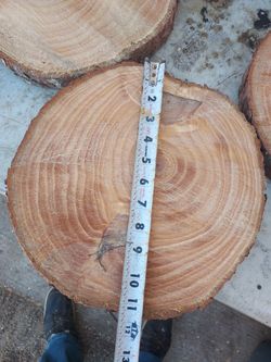 WOOD  SLICES.......