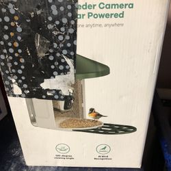 Bird Feeder 