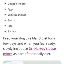 Capelli Flip Flop Silver Bling 10M Women's 