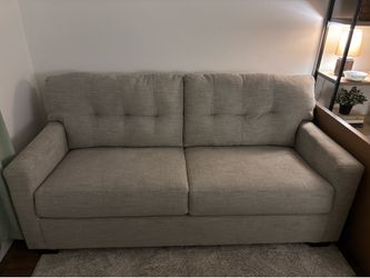 Light Gray Sleeper Sofa New