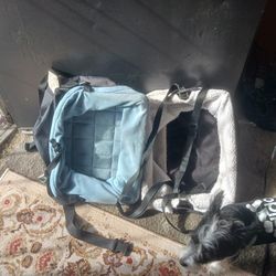 2 Dog Car Seats 