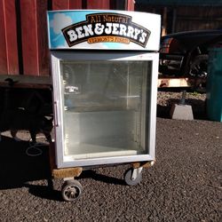 Ben And Jerry's Display Freezer
