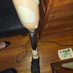 Leg/Chair